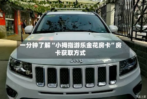 一分钟了解“小拇指游乐金花房卡	”房卡获取方式-第3张图片