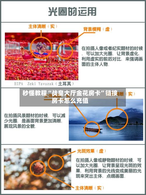 秒懂教程“战皇大厅金花房卡	”链接房卡怎么充值-第3张图片