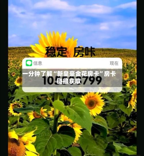 一分钟了解“新皇豪金花房卡”房卡链接获取-第2张图片