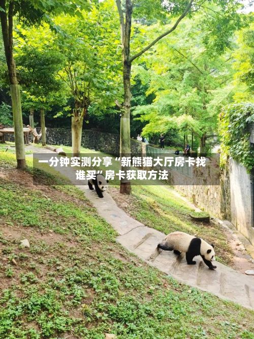 一分钟实测分享“新熊猫大厅房卡找谁买”房卡获取方法-第3张图片