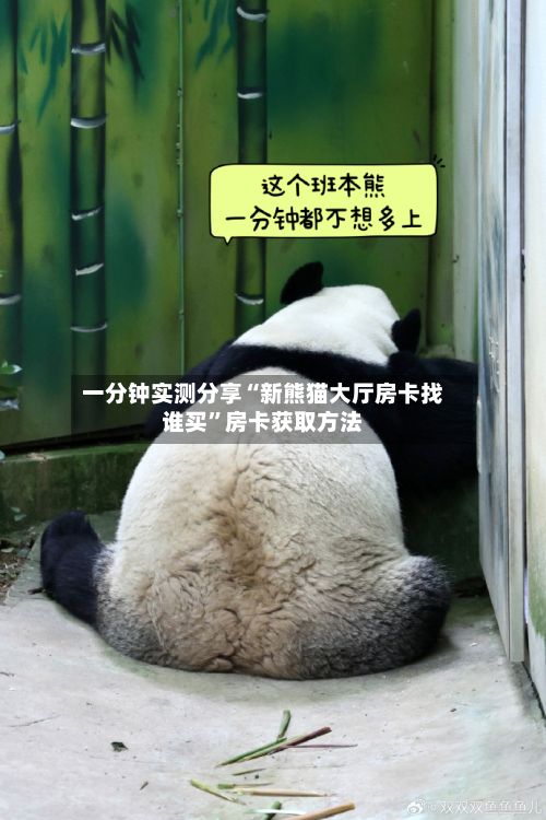 一分钟实测分享“新熊猫大厅房卡找谁买”房卡获取方法-第2张图片