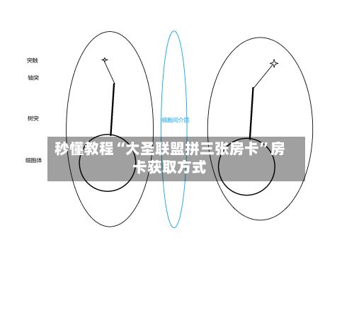 秒懂教程“大圣联盟拼三张房卡	”房卡获取方式-第2张图片