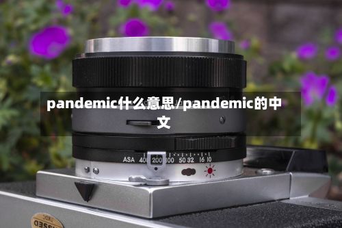 pandemic什么意思/pandemic的中文