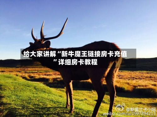 给大家讲解“新牛魔王链接房卡充值”详细房卡教程-第2张图片