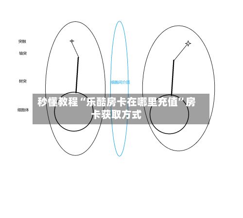 秒懂教程“乐酷房卡在哪里充值”房卡获取方式-第2张图片