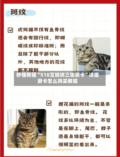 秒懂教程“518互娱拼三张房卡	”详细房卡怎么购买教程-第2张图片