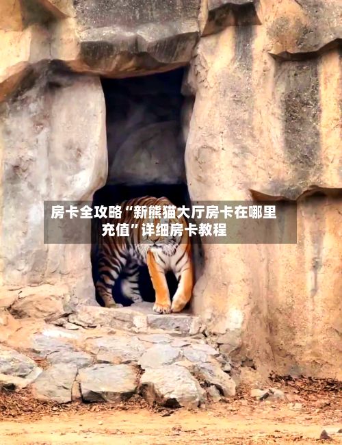 房卡全攻略“新熊猫大厅房卡在哪里充值”详细房卡教程