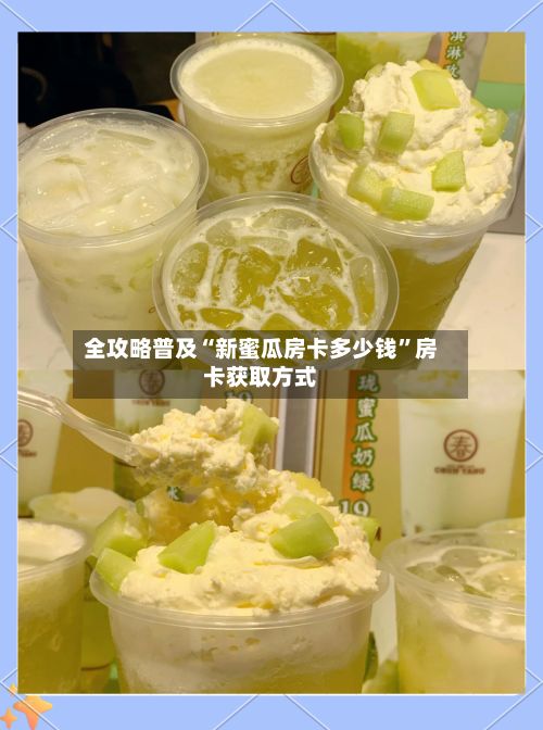 全攻略普及“新蜜瓜房卡多少钱”房卡获取方式-第2张图片