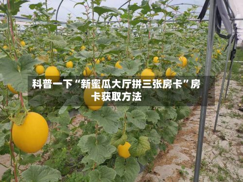 科普一下“新蜜瓜大厅拼三张房卡	”房卡获取方法-第3张图片