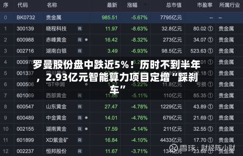 罗曼股份盘中跌近5%！历时不到半年，2.93亿元智能算力项目定增“踩刹车”-第3张图片