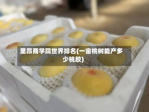 里昂商学院世界排名(一亩桃树能产多少桃胶)-第3张图片