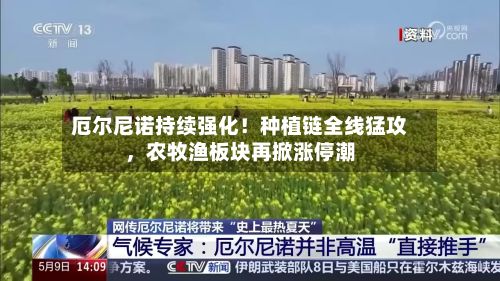 厄尔尼诺持续强化!种植链全线猛攻,农牧渔板块再掀涨停潮
