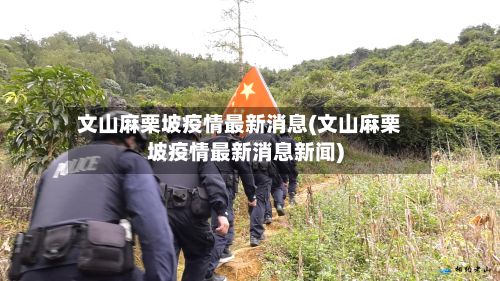 文山麻栗坡疫情最新消息(文山麻栗坡疫情最新消息新闻)