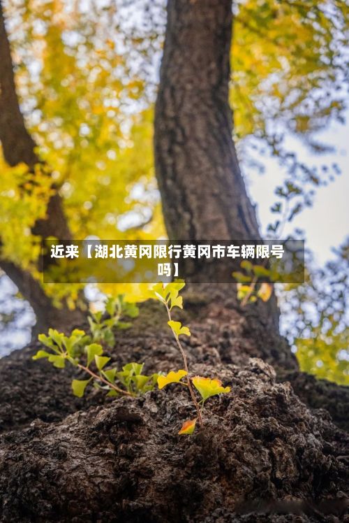 近来【湖北黄冈限行黄冈市车辆限号吗】-第2张图片