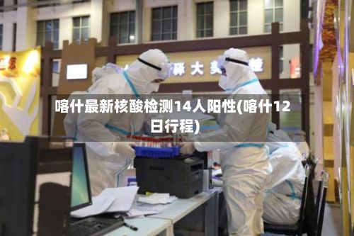 喀什最新核酸检测14人阳性(喀什12日行程)-第3张图片