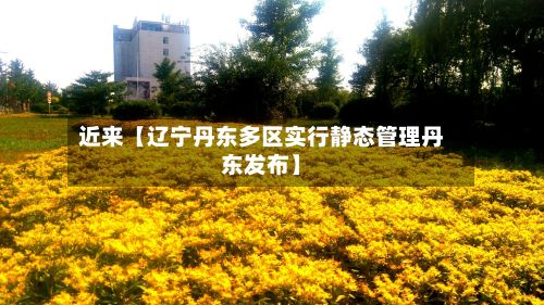 近来【辽宁丹东多区实行静态管理丹东发布】-第2张图片