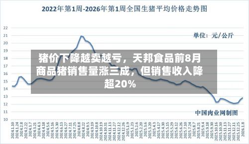 猪价下降越卖越亏，天邦食品前8月商品猪销售量涨三成，但销售收入降超20%-第2张图片