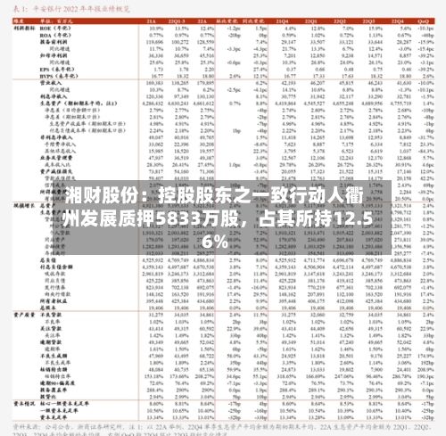 湘财股份:控股股东之一致行动人衢州发展质押5833万股,占其所持12.56%