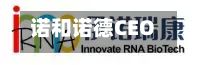 诺和诺德CEO：尚未对多肽热潮表示认同