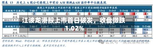 江波龙港股上市首日破发	，收盘微跌1.02%-第1张图片