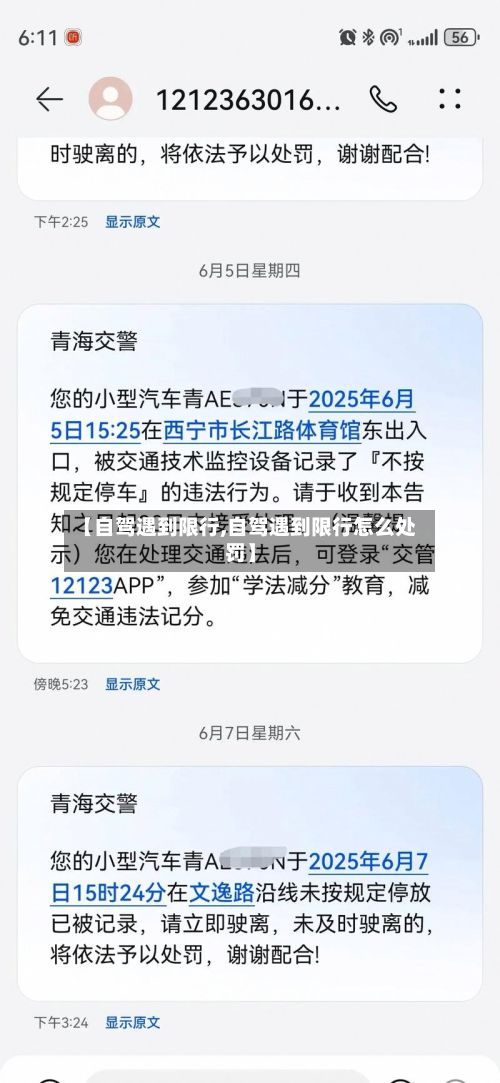 【自驾遇到限行,自驾遇到限行怎么处罚】-第2张图片
