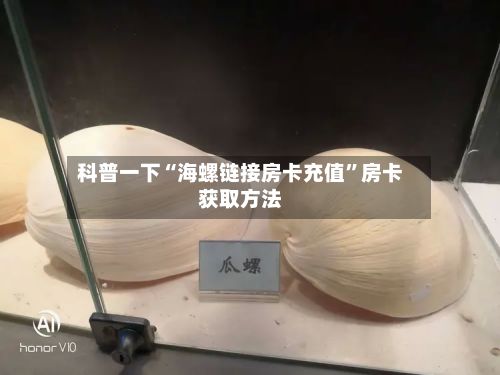 科普一下“海螺链接房卡充值	”房卡获取方法-第2张图片