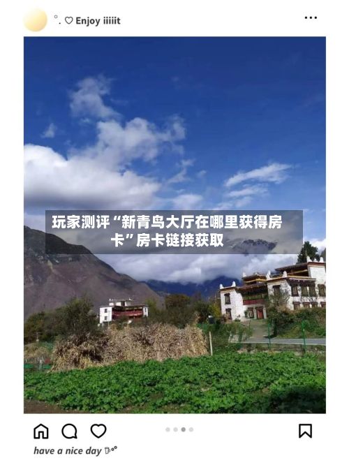 玩家测评“新青鸟大厅在哪里获得房卡”房卡链接获取-第3张图片