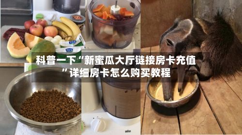 科普一下“新蜜瓜大厅链接房卡充值”详细房卡怎么购买教程-第2张图片