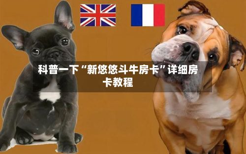 科普一下“新悠悠斗牛房卡”详细房卡教程-第2张图片