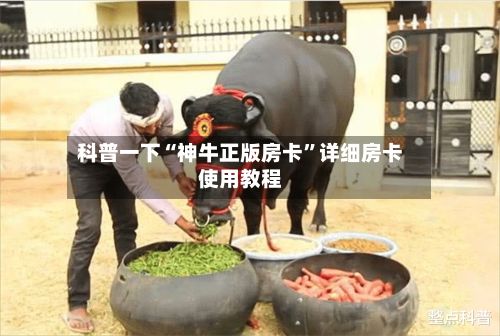 科普一下“神牛正版房卡”详细房卡使用教程-第2张图片