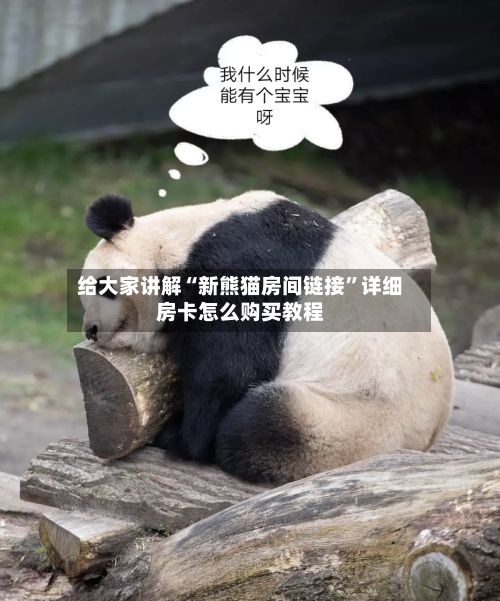 给大家讲解“新熊猫房间链接”详细房卡怎么购买教程