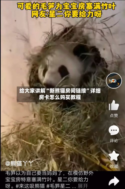 给大家讲解“新熊猫房间链接”详细房卡怎么购买教程-第3张图片