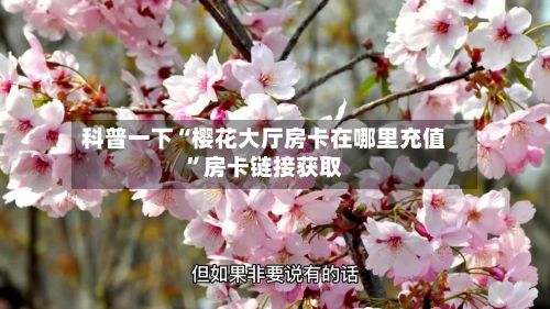 科普一下“樱花大厅房卡在哪里充值	”房卡链接获取-第2张图片