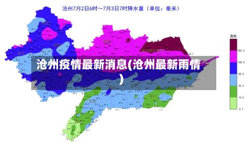 沧州疫情最新消息(沧州最新雨情)-第2张图片