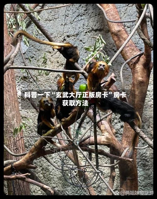 科普一下“玄武大厅正版房卡	”房卡获取方法-第2张图片