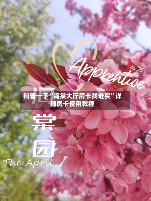 科普一下“海棠大厅房卡找谁买”详细房卡使用教程-第2张图片