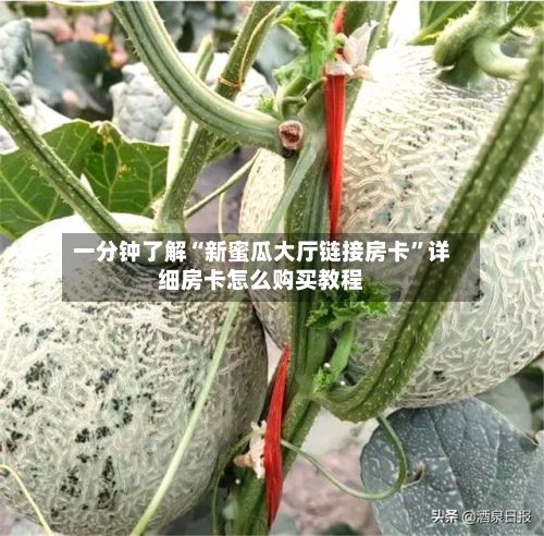 一分钟了解“新蜜瓜大厅链接房卡	”详细房卡怎么购买教程-第2张图片
