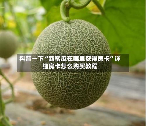 科普一下“新蜜瓜在哪里获得房卡”详细房卡怎么购买教程-第3张图片