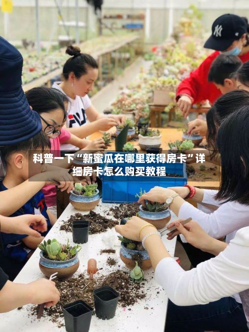 科普一下“新蜜瓜在哪里获得房卡”详细房卡怎么购买教程-第1张图片