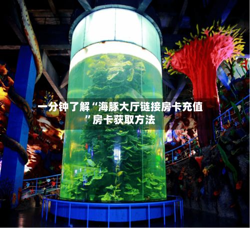 一分钟了解“海豚大厅链接房卡充值”房卡获取方法-第2张图片
