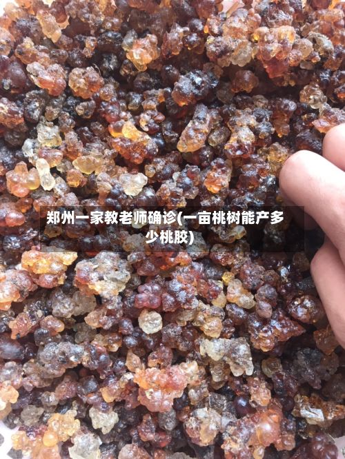 郑州一家教老师确诊(一亩桃树能产多少桃胶)