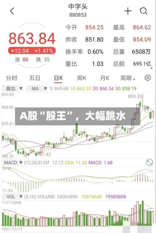 A股“股王”，大幅跳水-第3张图片