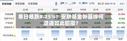 单日暴跌8.25%!安联基金新基缘何遭遇如此回撤?-第3张图片