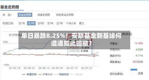 单日暴跌8.25%!安联基金新基缘何遭遇如此回撤?-第2张图片