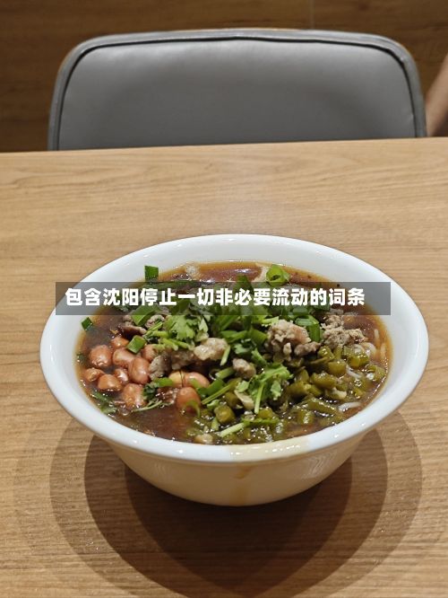 包含沈阳停止一切非必要流动的词条-第2张图片