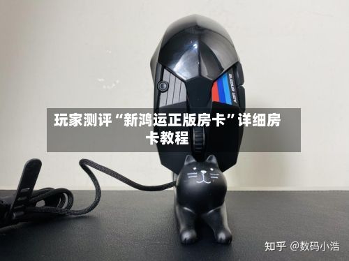 玩家测评“新鸿运正版房卡”详细房卡教程-第2张图片