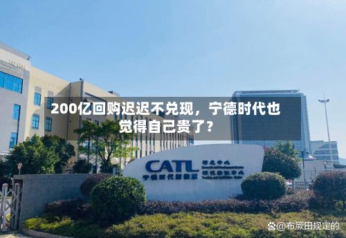 200亿回购迟迟不兑现，宁德时代也觉得自己贵了？