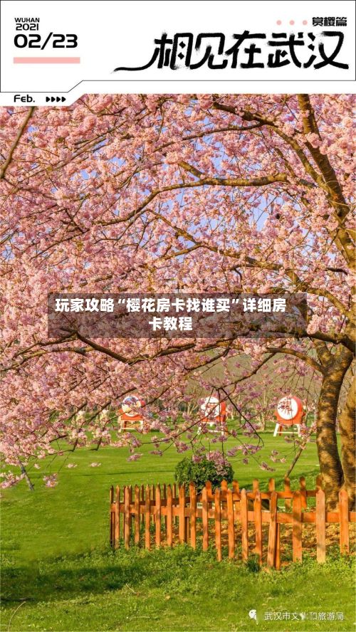 玩家攻略“樱花房卡找谁买”详细房卡教程-第3张图片