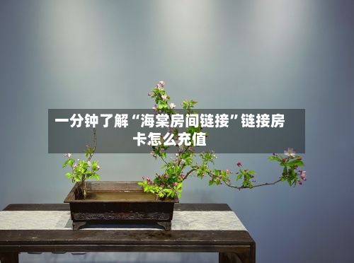 一分钟了解“海棠房间链接	”链接房卡怎么充值-第3张图片