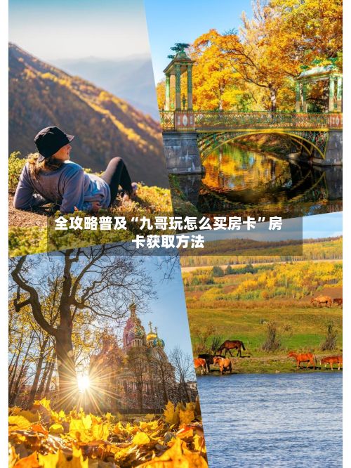 全攻略普及“九哥玩怎么买房卡”房卡获取方法-第2张图片